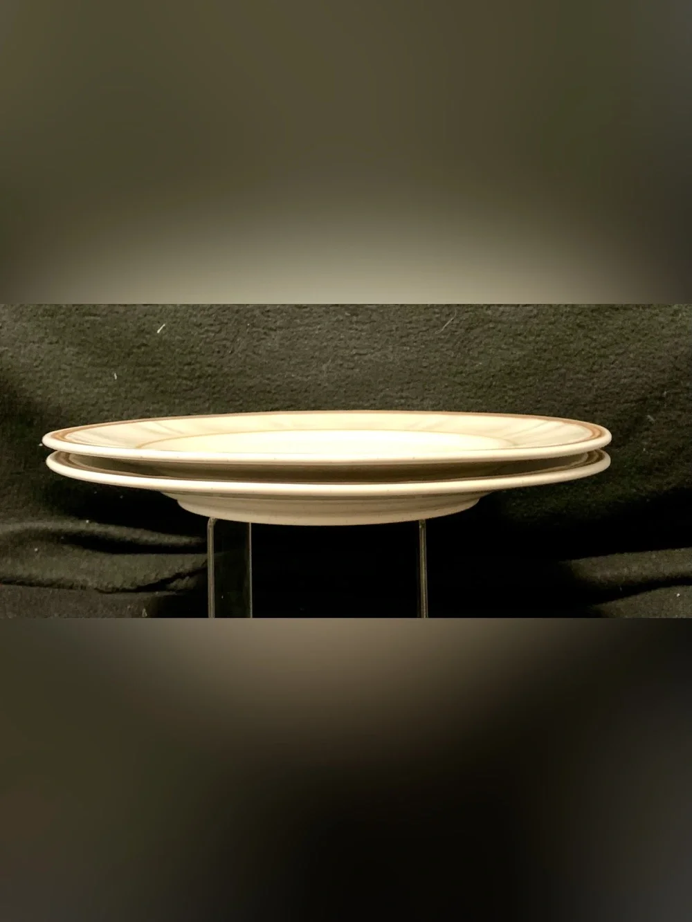 Handpainted Americana Hearthside Heritage Stoneware Dinner Plates Set of (2)
